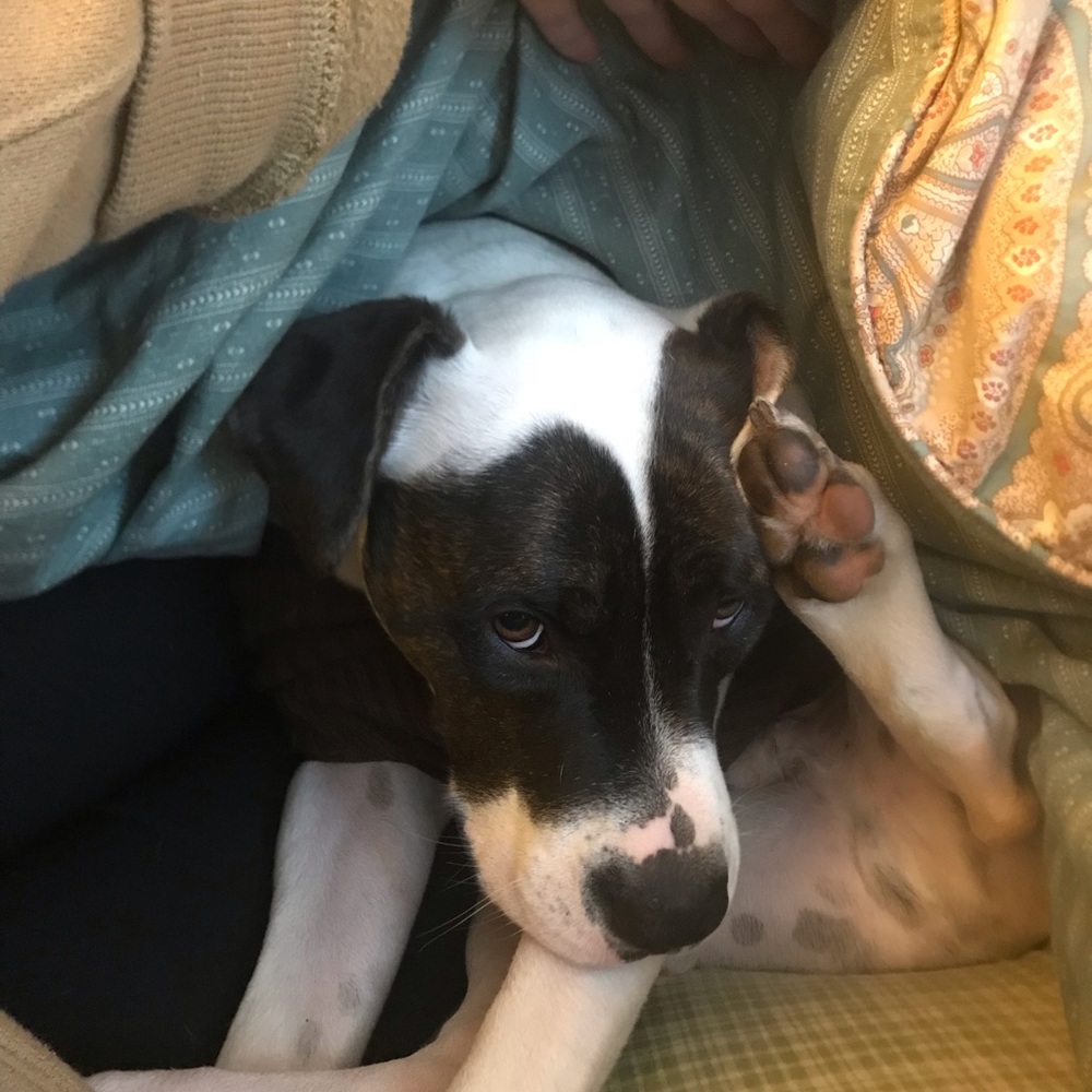 Meet your Posher, Taylor